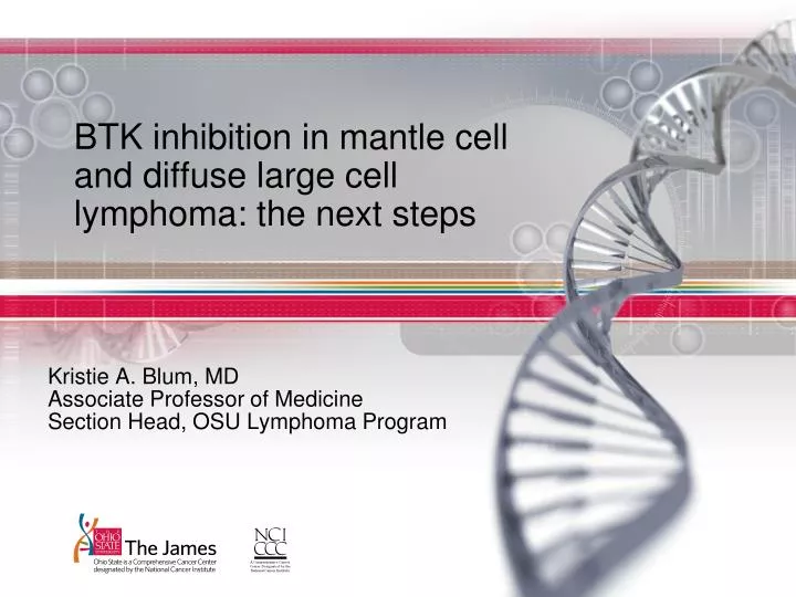 btk inhibition in mantle cell and diffuse large cell lymphoma the next steps