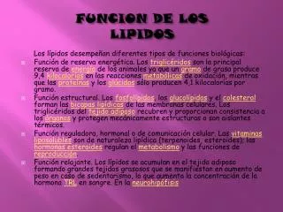 funcion de los lipidos