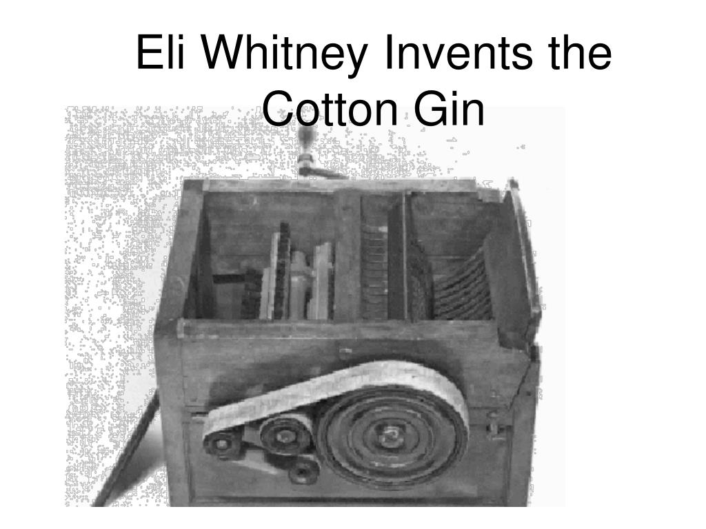 PPT - Eli Whitney Invents the Cotton Gin PowerPoint Presentation, free ...