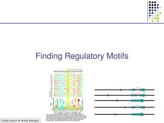 Finding Regulatory Motifs