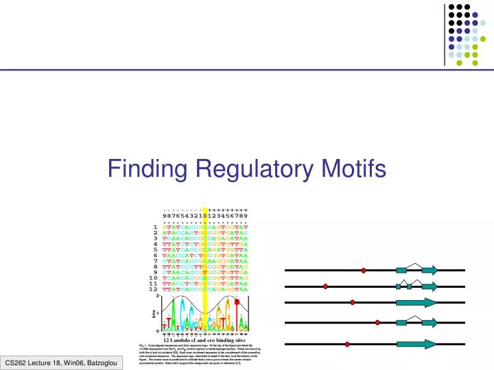 finding regulatory motifs
