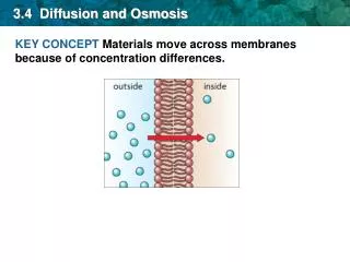 3 4 diffusion and osmosis
