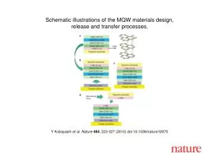 Y Kobayashi et al . Nature 484 , 223- 227 (2012) doi:10.1038/nature10970