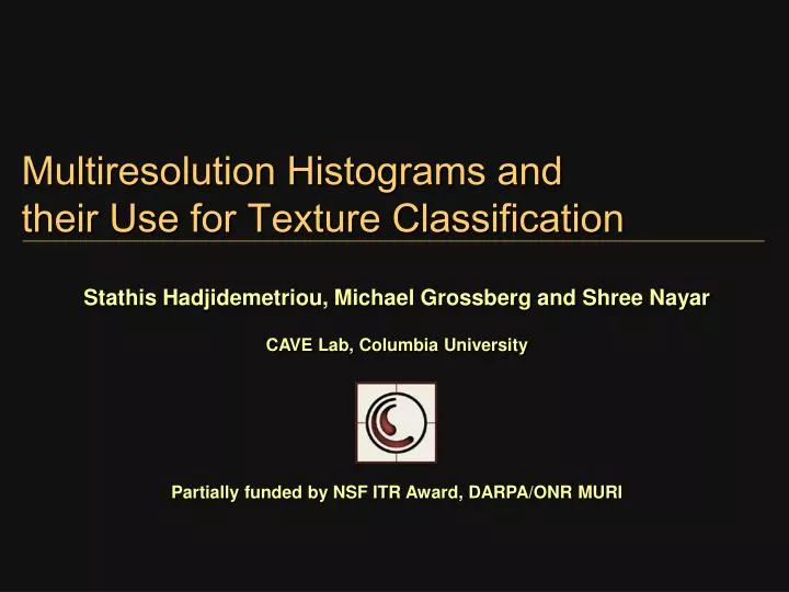 multiresolution histograms and their use for texture classification