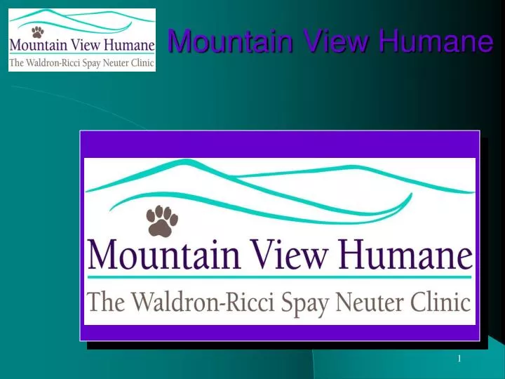 mountain view humane