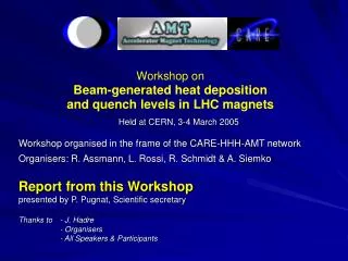 Held at CERN, 3-4 March 2005 Workshop organised in the frame of the CARE-HHH-AMT network