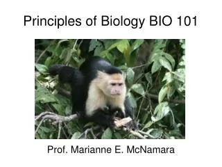 Principles of Biology BIO 101