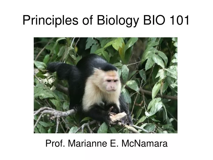 principles of biology bio 101