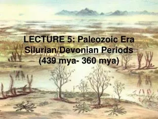 LECTURE 5: Paleozoic Era Silurian/Devonian Periods (439 mya- 360 mya)