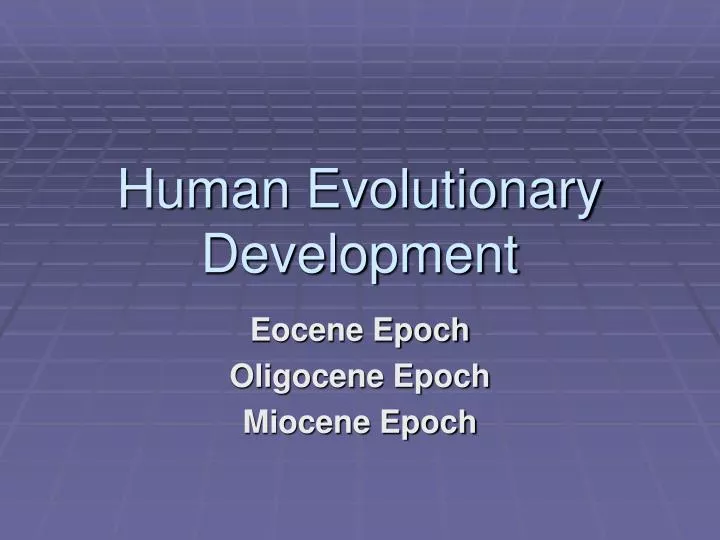 human evolutionary development