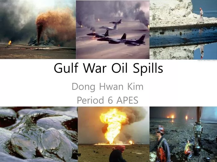 gulf war oil spills