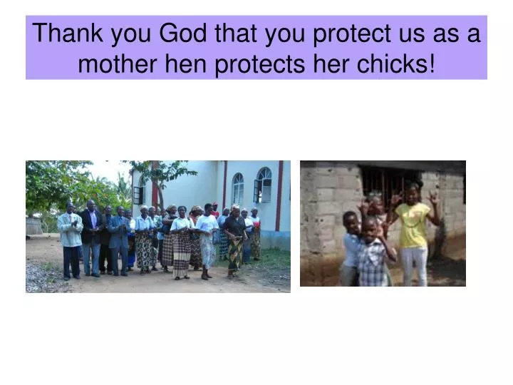 thank you god that you protect us as a mother hen protects her chicks