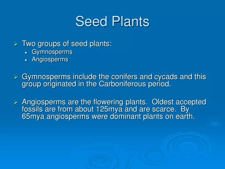 seed plants