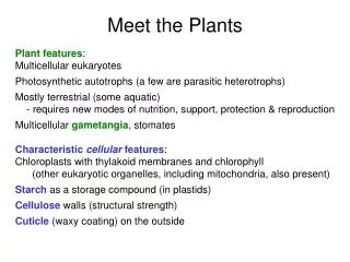 Meet the Plants