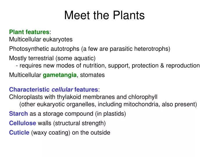 meet the plants