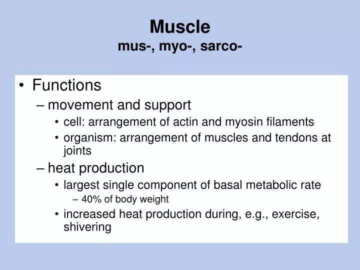 muscle mus myo sarco
