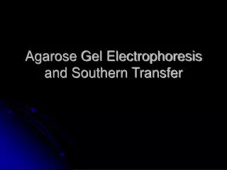 Agarose Gel Electrophoresis and Southern Transfer