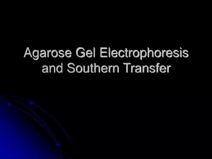 agarose gel electrophoresis and southern transfer