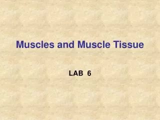 Muscles and Muscle Tissue