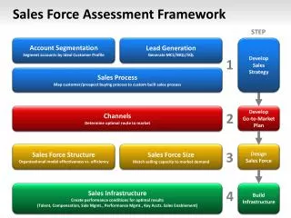 Sales Force Assessment Framework