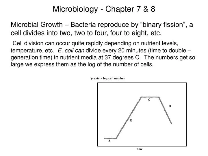 microbiology chapter 7 8