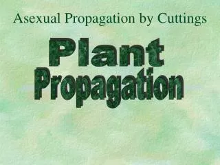 Asexual Propagation by Cuttings