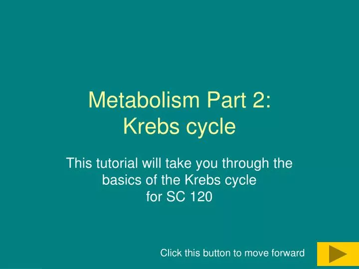 metabolism part 2 krebs cycle