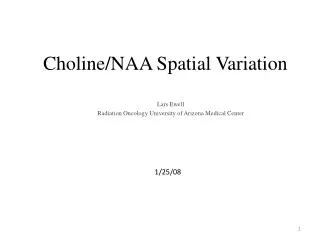 Choline/NAA Spatial Variation