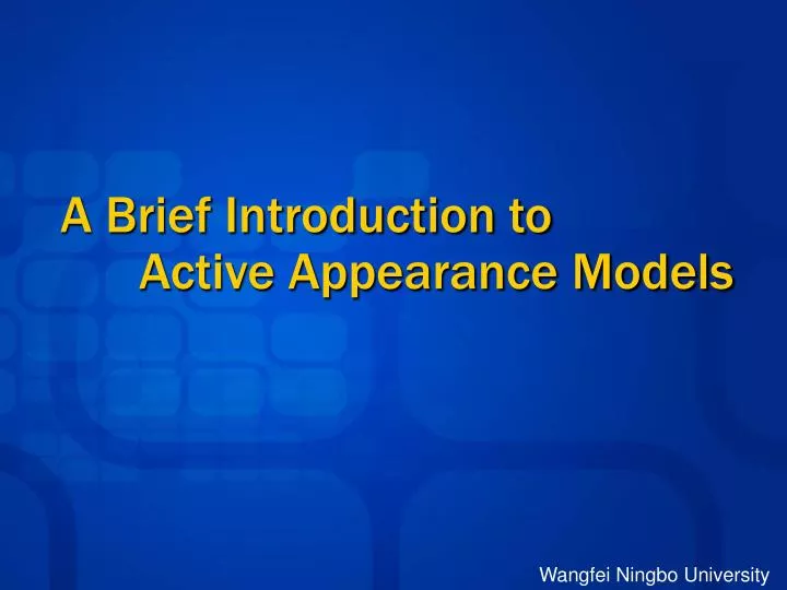 a brief introduction to active appearance models