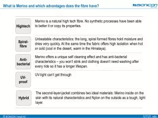 What is Merino and which advantages does the fibre have?
