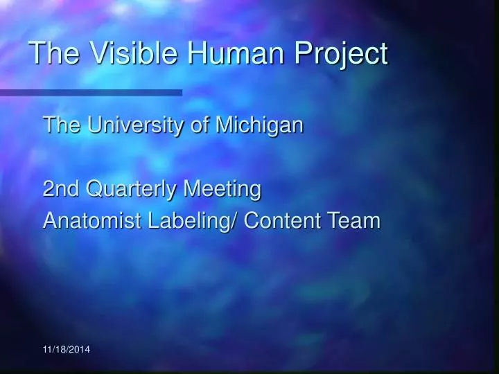 the visible human project