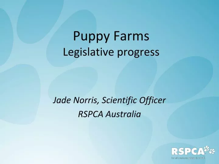 puppy farms legislative progress