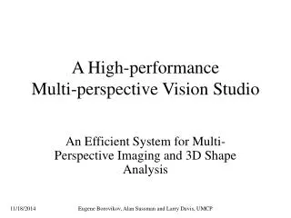 A High-performance Multi-perspective Vision Studio