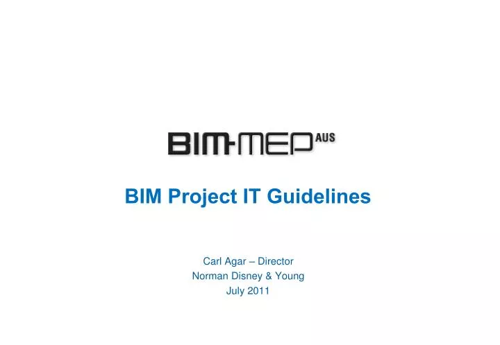 bim project it guidelines