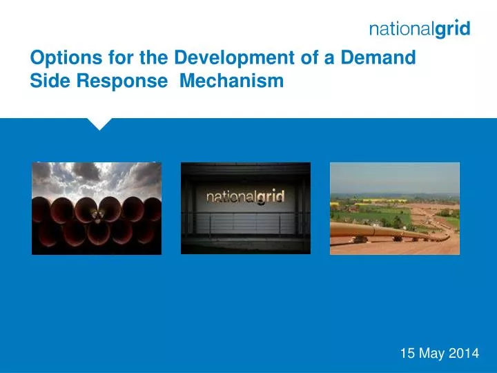 options for the development of a demand side response mechanism