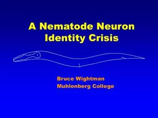 A Nematode Neuron Identity Crisis
