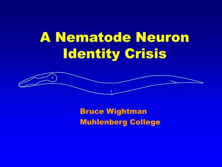 a nematode neuron identity crisis