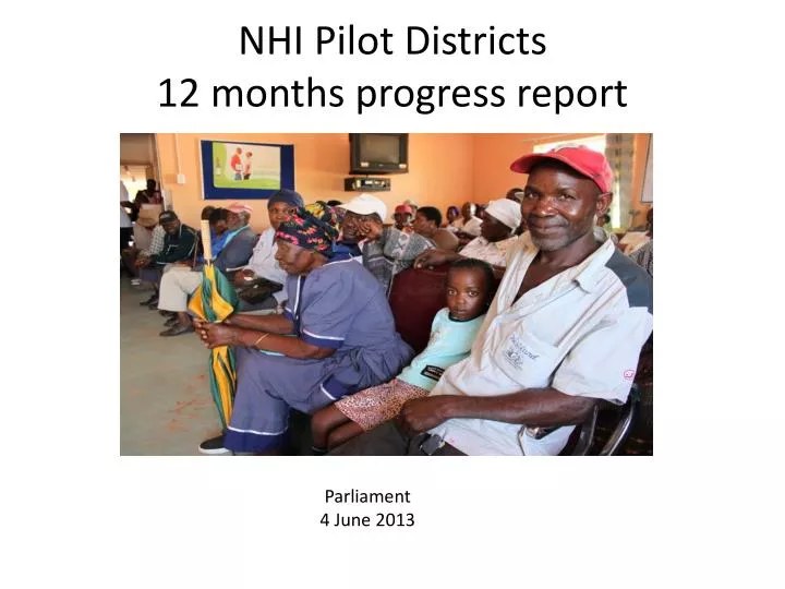 nhi pilot districts 12 months progress report