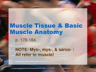 Muscle Tissue &amp; Basic Muscle Anatomy