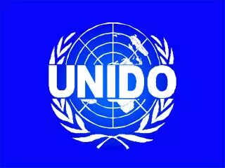 UNIDO Technology Foresigh t; Programme
