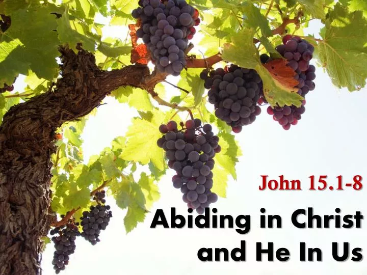 abiding in christ and he in us