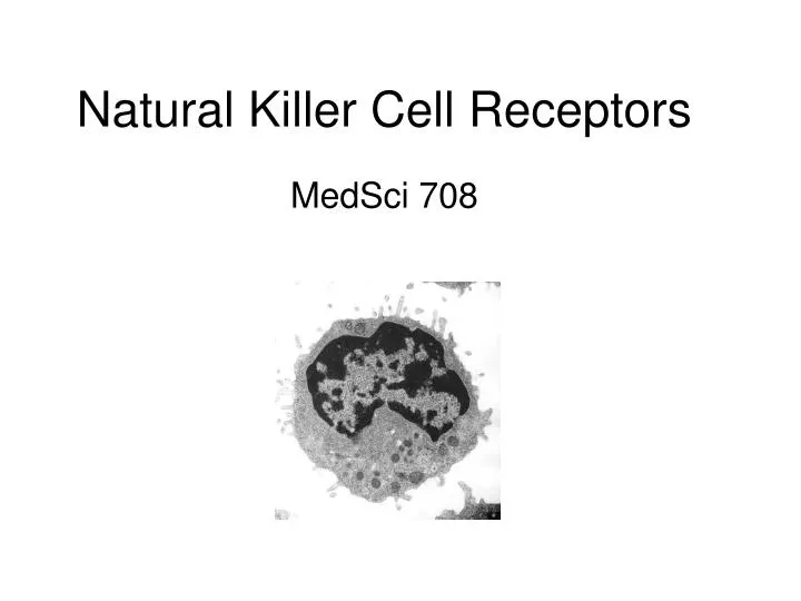 natural killer cell receptors