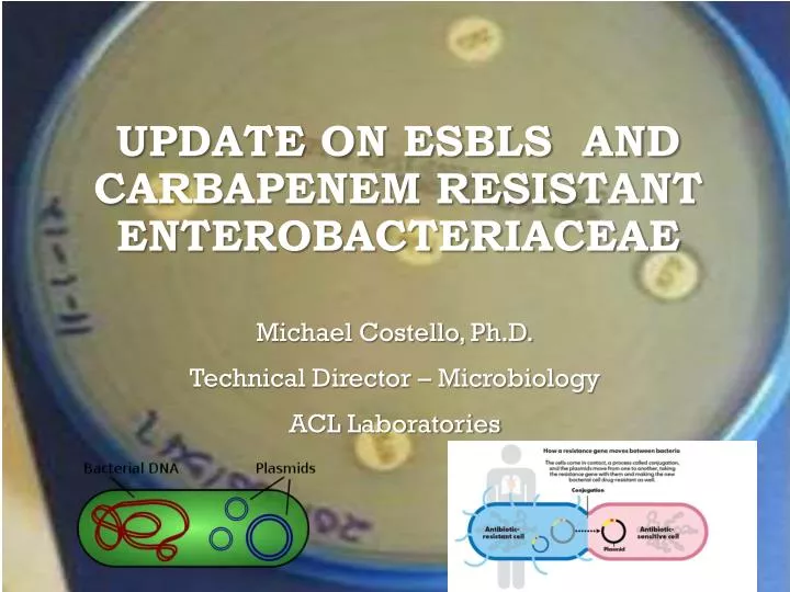 update on esbls and carbapenem resistant enterobacteriaceae