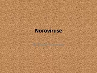 Noroviruse