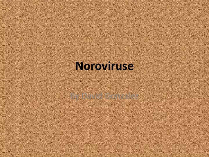 noroviruse