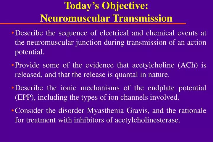 today s objective neuromuscular transmission