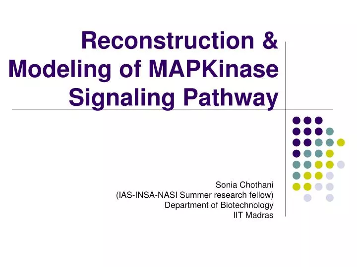 reconstruction modeling of mapkinase signaling pathway