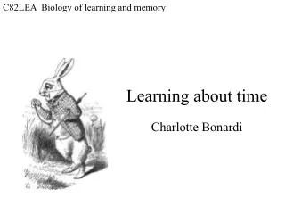 C82LEA Biology of learning and memory
