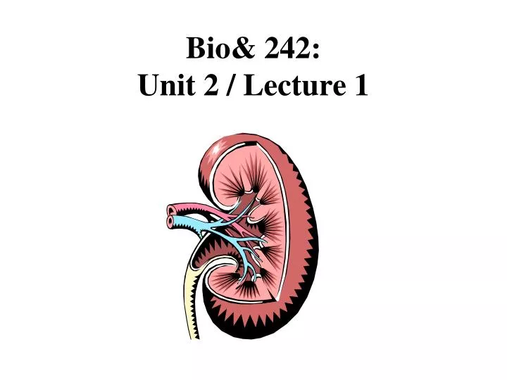bio 242 unit 2 lecture 1