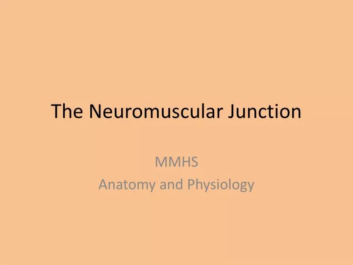 the neuromuscular junction